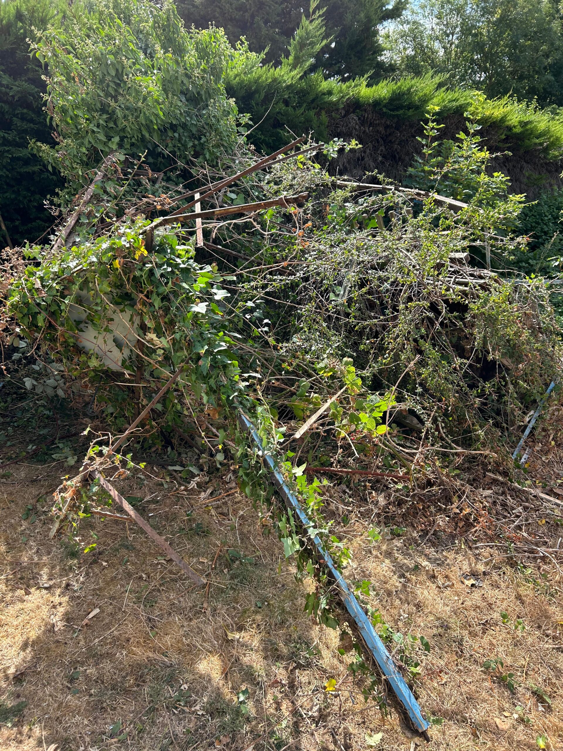 General Waste Clearance Case Studies