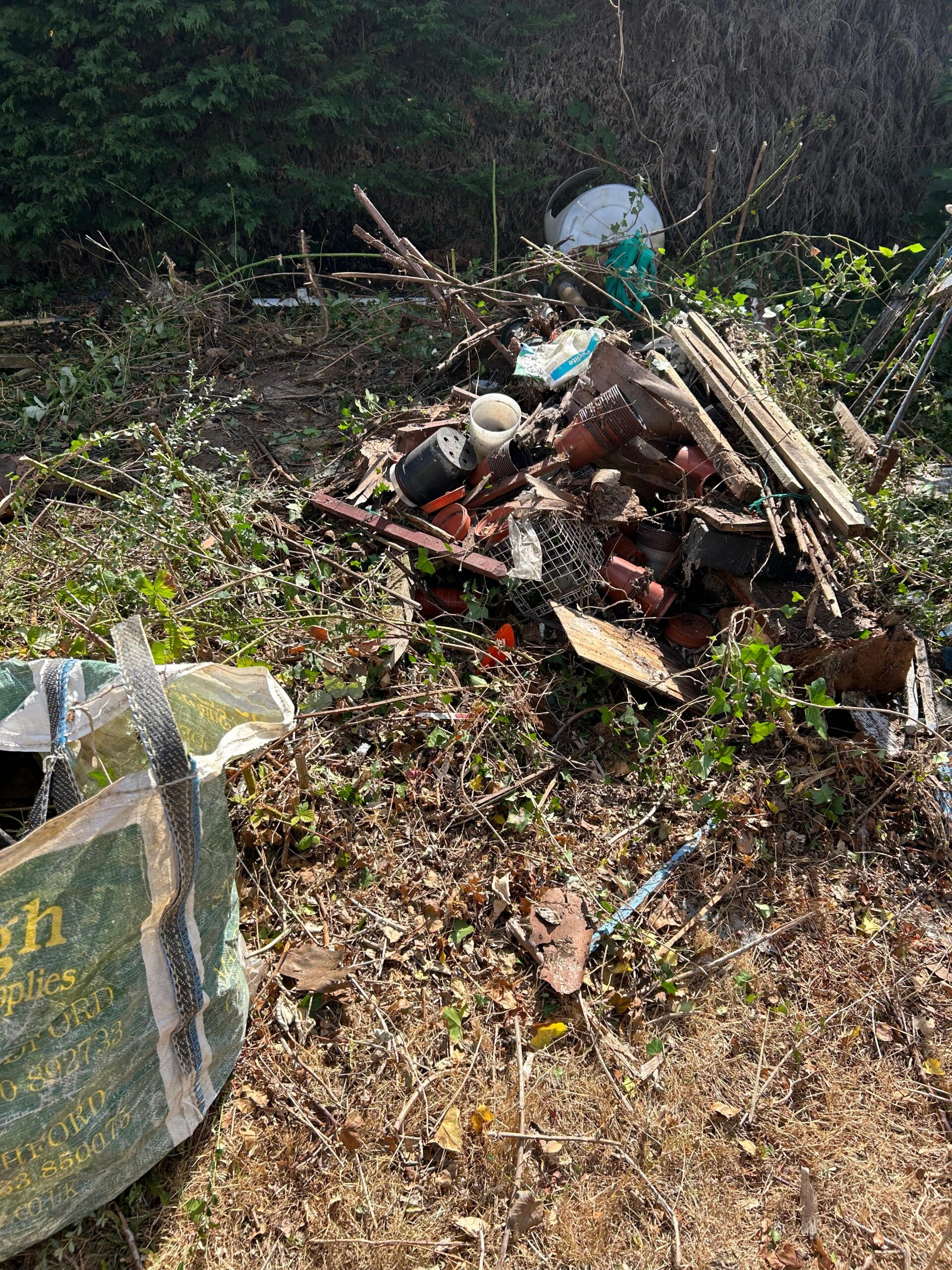 Overgrown Greenhouse Clearance & Dismantling for Local Council