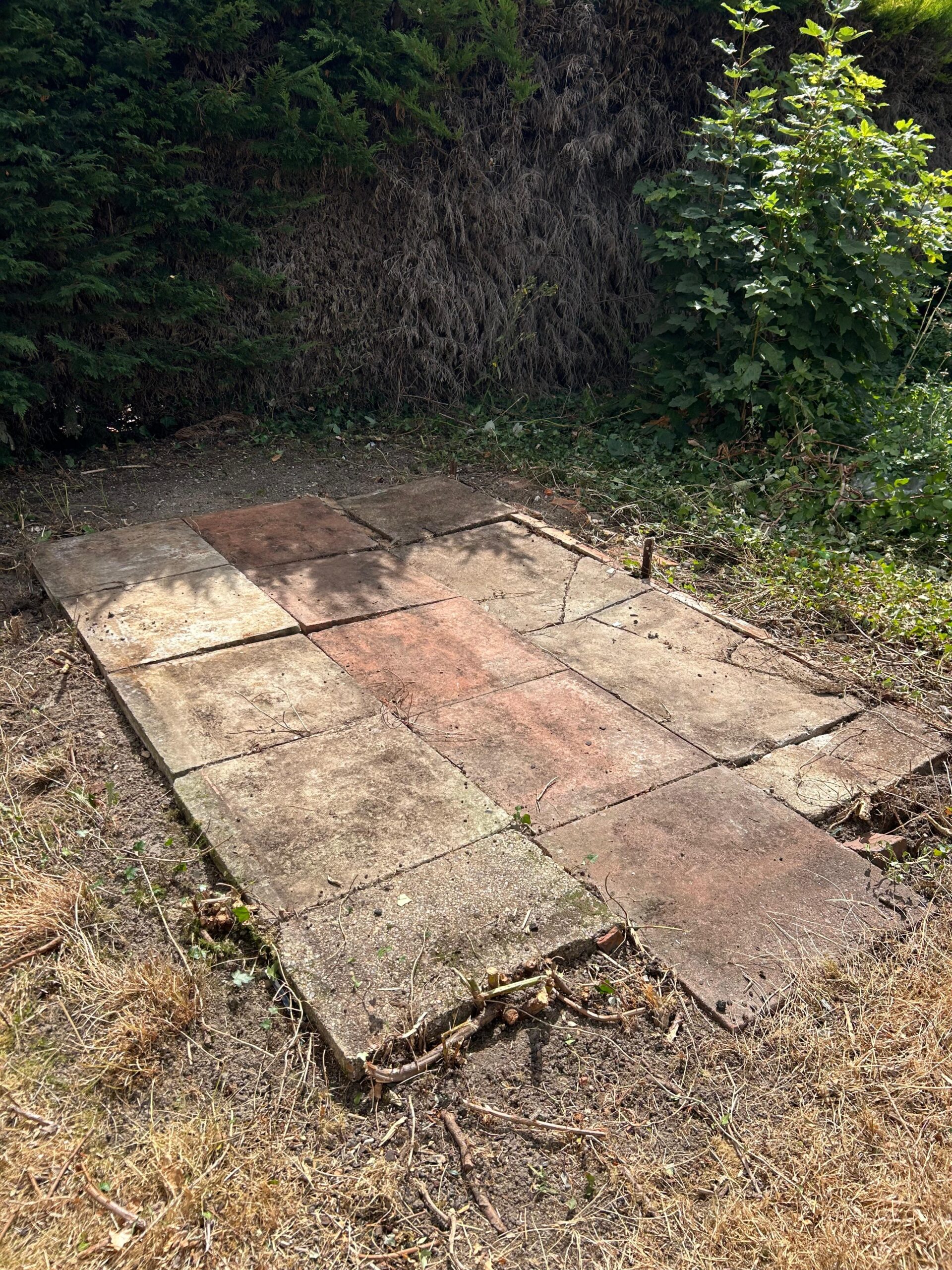 Overgrown Greenhouse Clearance & Dismantling for Local Council